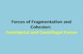Forces of Fragmentation and Cohesion:  Centripetal and Centrifugal Forces