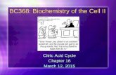 BC368 :  Biochemistry  of  the Cell II