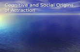 Cognitive and Social Origins of Attraction