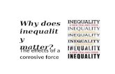 Why does  inequality   matter?