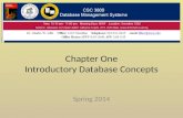 Chapter One Introductory Database Concepts