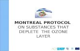 MONTREAL PROTOCOL  ON SUBSTANCES THAT DEPLETE  THE OZONE LAYER