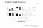 Neuropsychopharmacology  (2014)  39 , 1603-1613; doi:10.1038/npp.2014.7