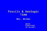 Fossils & Geologic Time