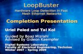 LoopBuster Hardware Loop Detection in Fast  Mesh Ethernet Networks