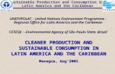 CLEANER PRODUCTION AND SUSTAINABLE CONSUMPTION IN LATIN AMERICA AND THE CARIBBEAN