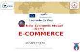 The New Economic Model (NEM) E-COMMERCE