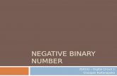 Negative Binary Number