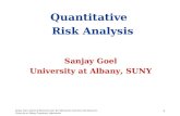 Quantitative   Risk Analysis Sanjay Goel University at Albany, SUNY
