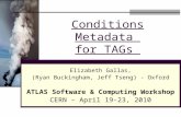 Conditions Metadata  for TAGs