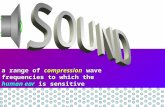 a range of  compression  wave frequencies to which the human ear  is sensitive
