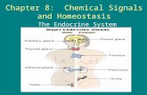Chapter 8:  Chemical Signals and Homeostasis