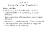 Chapter 4.   Labor Demand Elasticities.