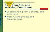 Chapter 6 Pay, Benefits, and Working Conditions