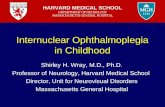 Internuclear Ophthalmoplegia in Childhood