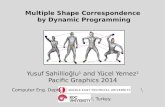 Multiple Shape Correspondence  by Dynamic Programming