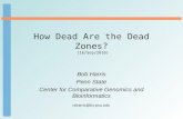 How Dead Are the Dead Zones?  (16/Sep/2010)