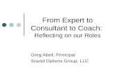From Expert to Consultant to Coach:  Reflecting on our Roles