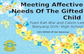 Meeting Affective Needs Of The Gifted Child