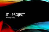 IT - project