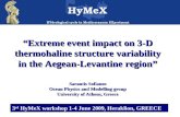 3 rd  HyMeX workshop 1-4 June 2009 ,  Heraklion , GREECE