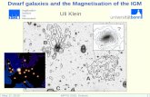 Dwarf galaxies and the Magnetisation of the IGM
