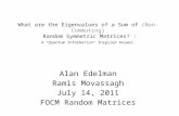 Alan Edelman Ramis Movassagh July 14, 2011 FOCM  Random Matrices