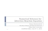 Numerical  Schemes for  Advection Reaction Equation