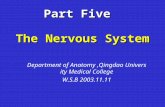 Part Five The Nervous System