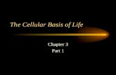 The Cellular Basis of Life