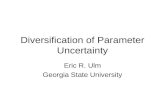 Diversification of Parameter Uncertainty