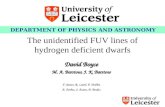 The unidentified FUV lines of hydrogen deficient dwarfs