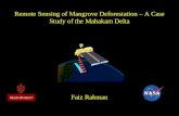 Remote Sensing of Mangrove Deforestation – A Case Study of the Mahakam Delta