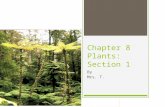 Chapter 8 Plants:  Section 1