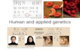 Human and applied genetics