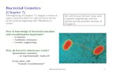 Bacterial Genetics Chapters 10 and 4