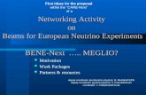 Networking Activity  on  Beams for European Neutrino Experiments  BENE-Next  ….. MEGLIO?