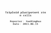 Triploid pluripotent stem cells