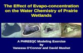 The Effect of  Evapo -concentration  on the Water Chemistry of Prairie Wetlands