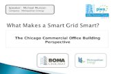What Makes a Smart Grid Smart?