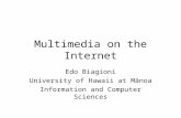Multimedia on the Internet