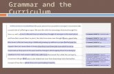 Grammar and the Curriculum