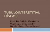 Tubulointerstitial Disease