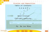 Table of Contents  4.4 & 4.5 Wind Erosion Florida Landforms  Ms. De Los Rios