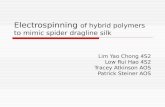 Electrospinning  of hybrid polymers to mimic spider dragline silk