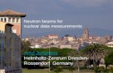 Neutron  beams for nuclear data measurements