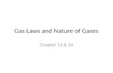 Gas Laws and Nature of Gases