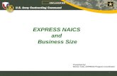 EXPRESS NAICS  and  Business Size