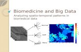 Biomedicine and Big Data