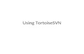 Using TortoiseSVN